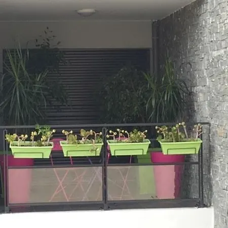 公寓 Luxury With Sea View, Parking 阿雅克肖