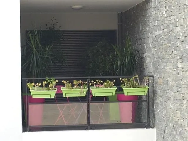 דירה Luxury With Sea View, Parking אז'אקסיו